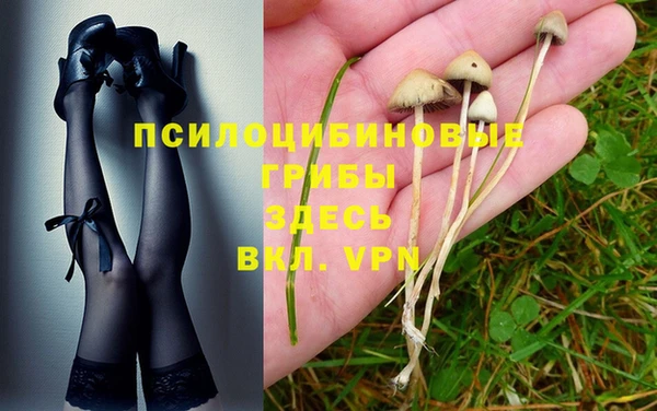 ГАЛЛЮЦИНОГЕННЫЕ ГРИБЫ Алзамай